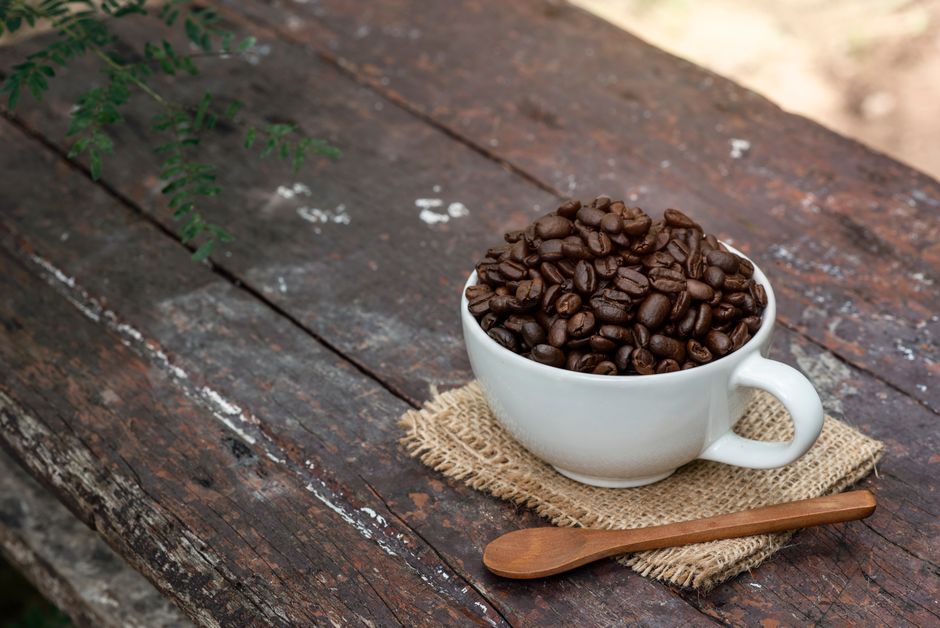 Uma xícara de café filtrado em uma tigela, com uma folha de café ao lado