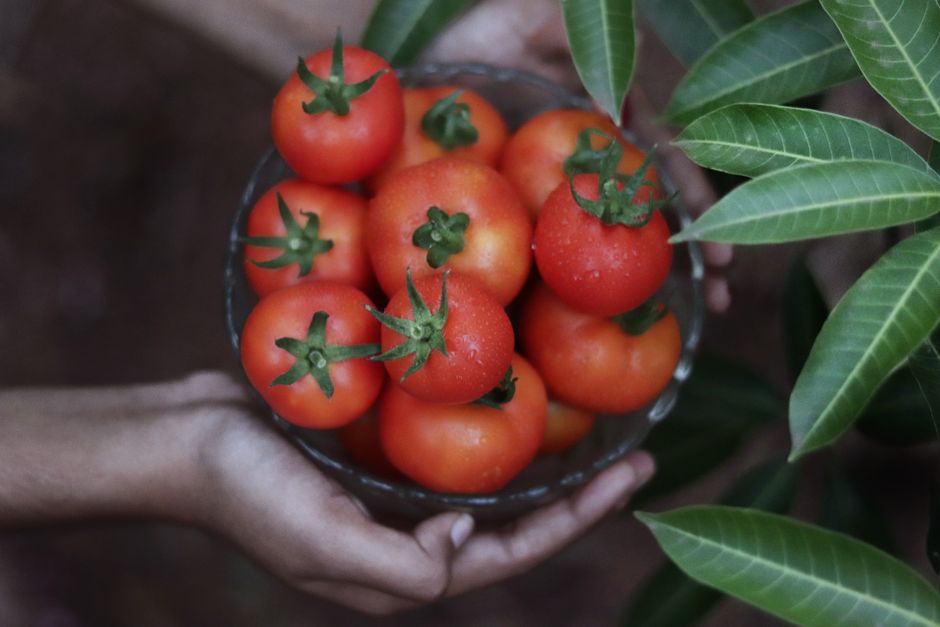 Atleta segurando barra de peso, ao lado de uma tigela de tomates vermelhos cortados em rodelas