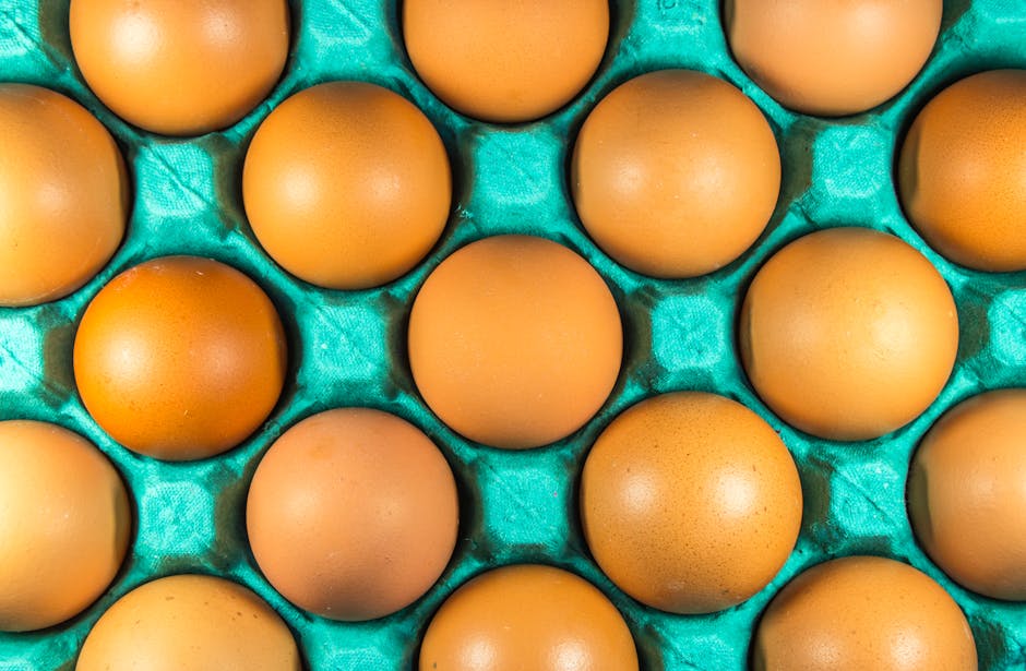 Ovos frescos em uma cesta de vime ao lado de embalagens de ovos pasteurizados sobre uma bancada de cozinha moderna